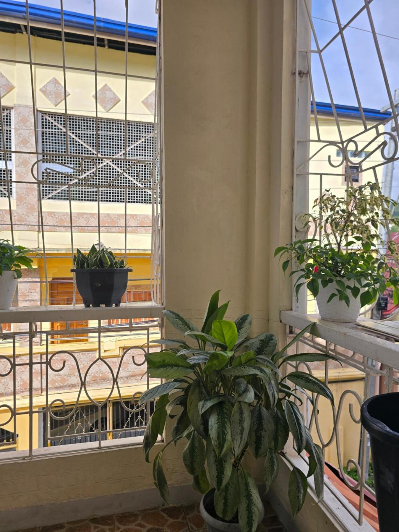 35 Amistad Guesthouse Baguio City Екстер'єр фото